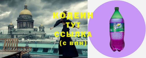 стаф Козельск