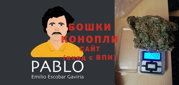 стаф Козельск