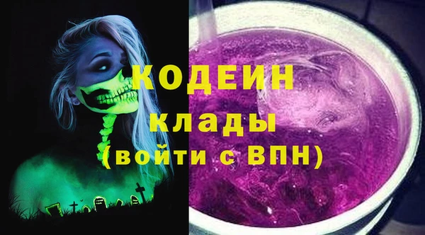 стаф Козельск