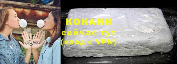 стаф Козельск